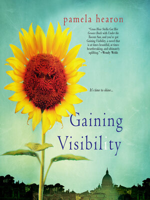 cover image of Gaining Visibility